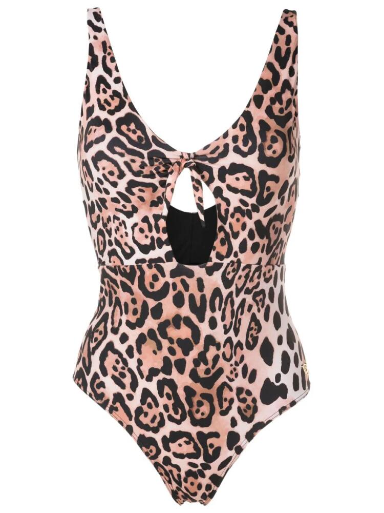 Brigitte cut-out leopard-print swimsuit - Brown Cover