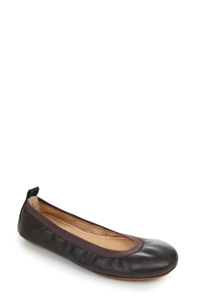 Yosi Samra Samara Foldable Ballet Flat in Ground Coffee Leather Cover