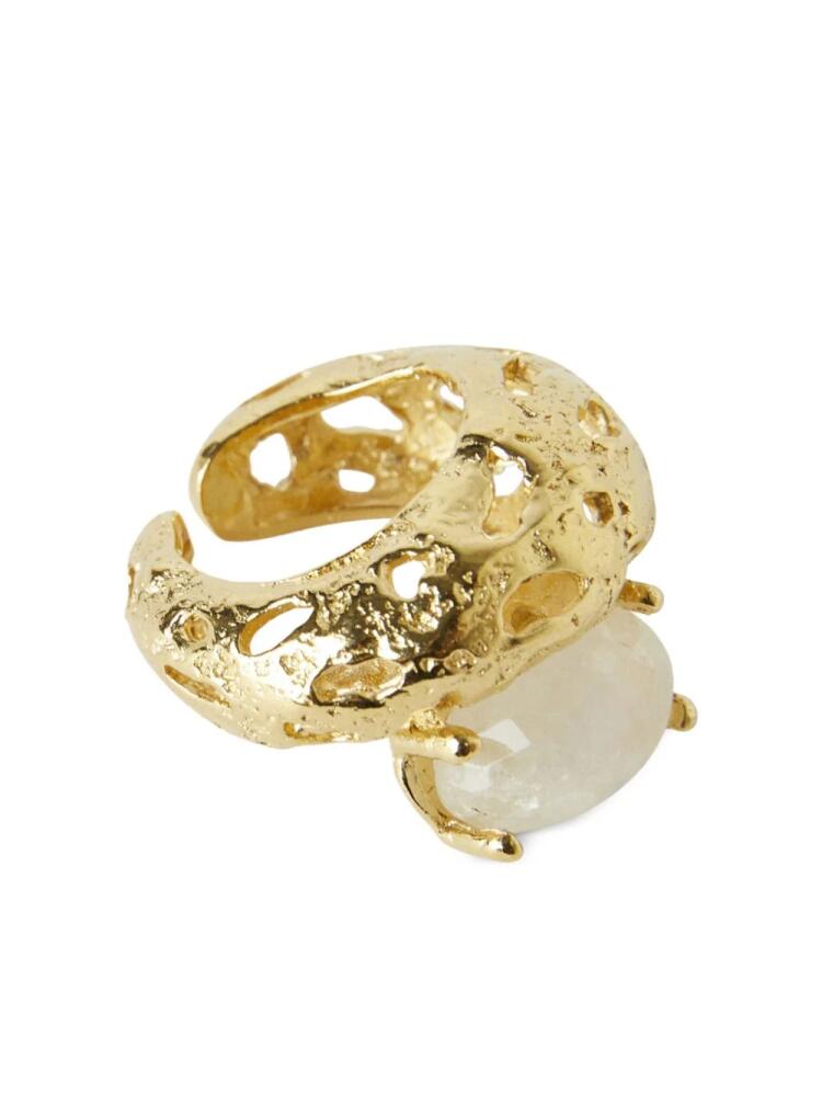 Paola Sighinolfi Mayge gold-plated ring Cover