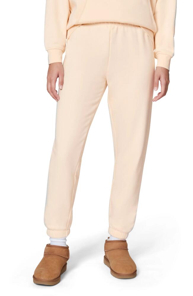 Florence by Mills Cotton Blend Joggers in Washed Whitecap Grey Cover