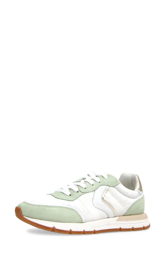 Voile Blanche Storm Sneaker in Mint White Cover