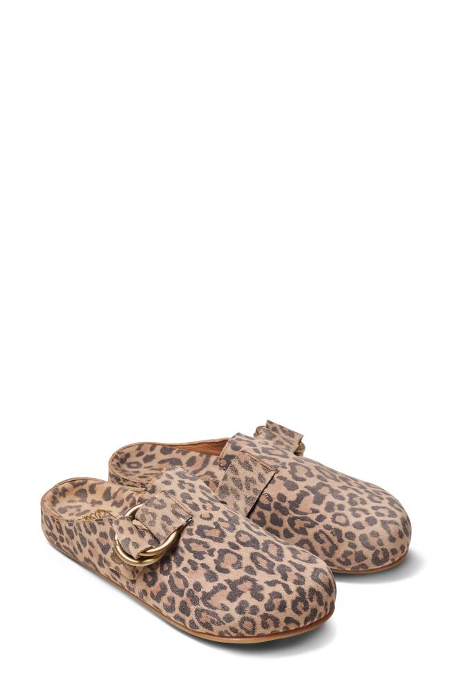 Beek Vulture Cheetah Print Mule in Leopard Cover