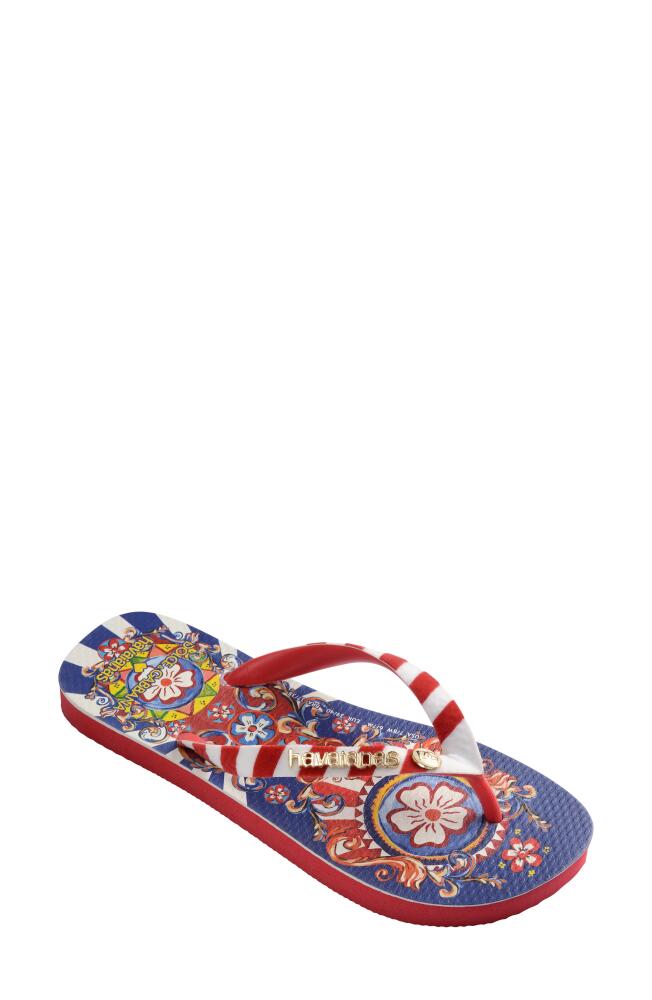 Havaianas x Dolce & Gabbana Flip Flop in Circus Cover