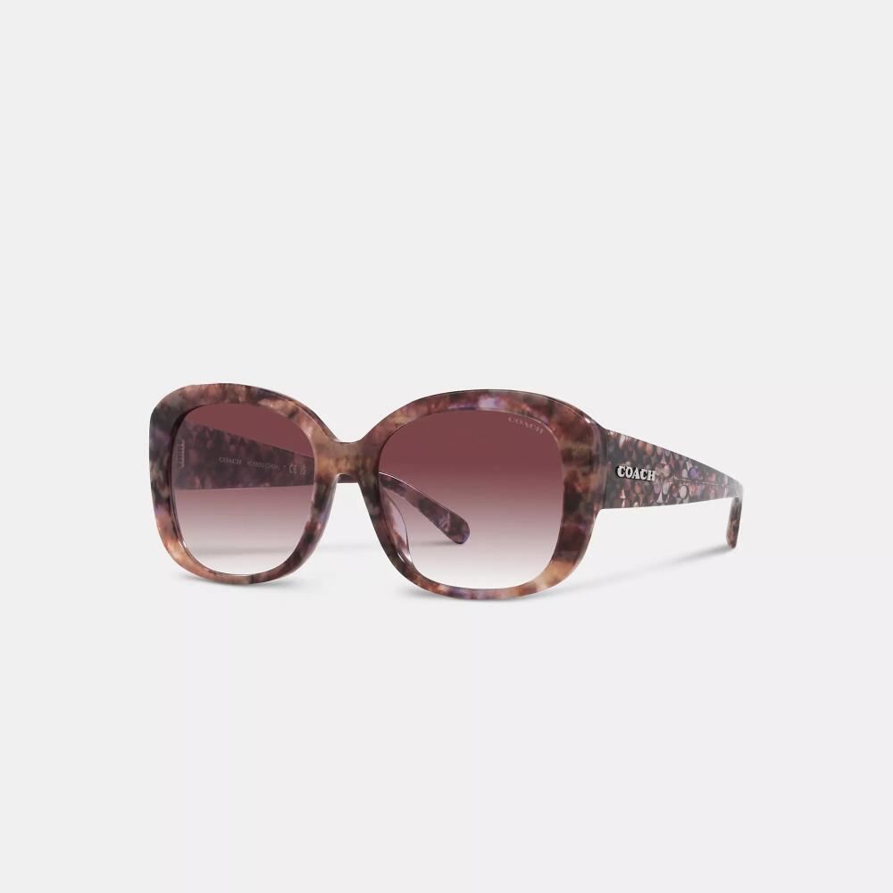 Coach Signature Oversized Square Sunglasses Cover