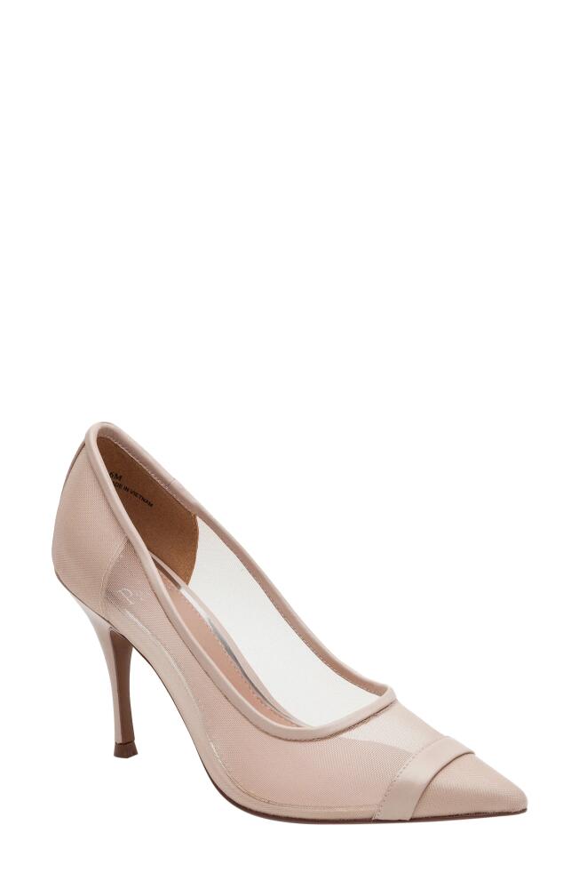 Linea Paolo Persia Pointed Toe Pump in Blush Cover