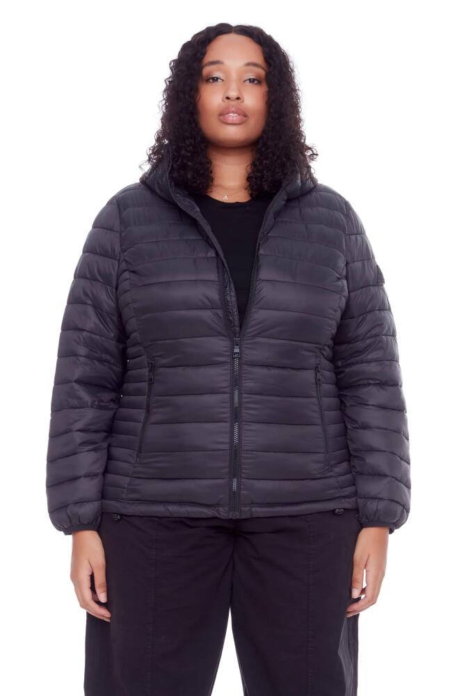 Alpine North YOHO PLUS SIZE - Vegan Down Lightweight Packable Puffer Jacket & Bag in Black Cover