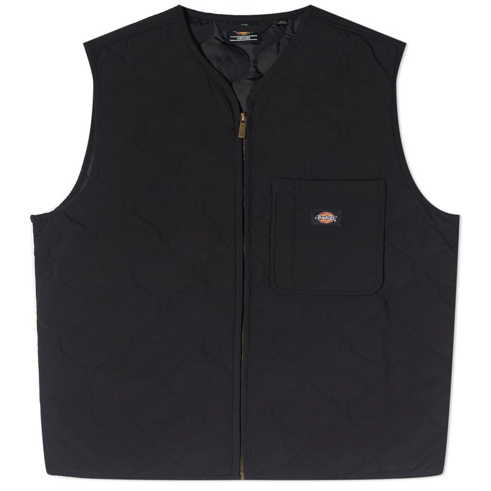 Dickies Men's Thorsby Liner Vest in Black Cover