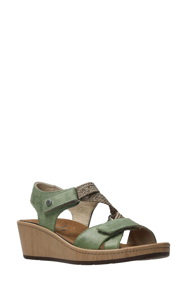 Wolky La Jolla Ankle Strap Platform Wedge Sandal in Olive Leather Cover