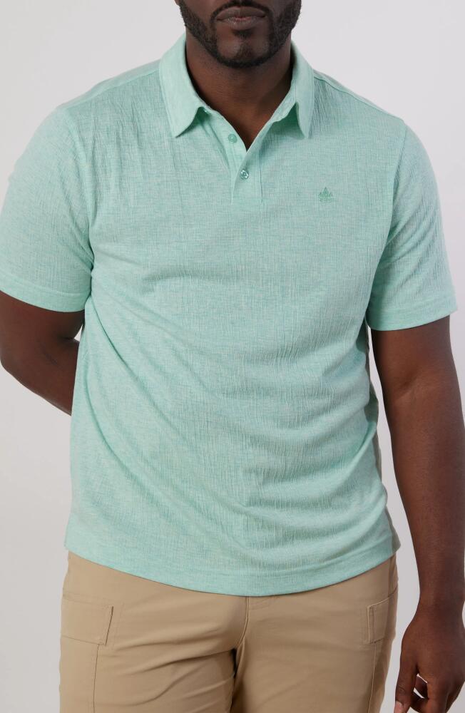 Rainforest Dockside Solid Performance Polo in Seafoam Cover