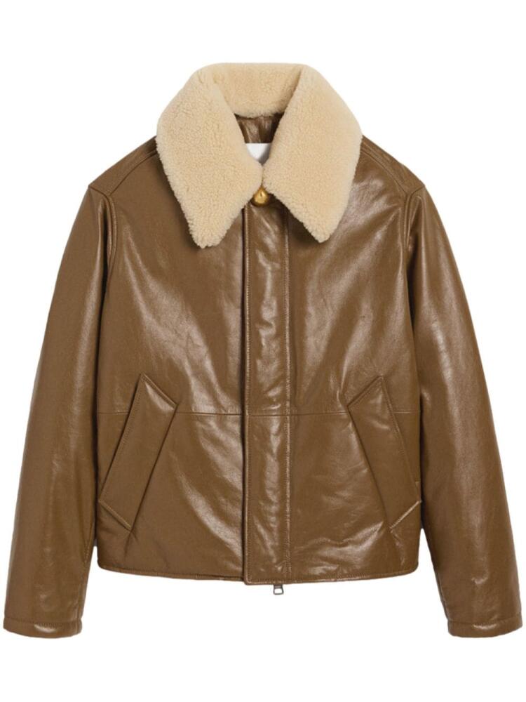 AMI Paris padded leather jacket - Brown Cover