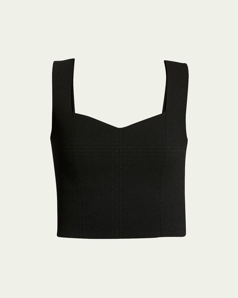 A.L.C. Jordana Seamed Cropped Tank Top Cover