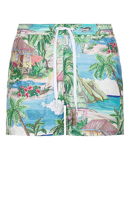 Duvin Design Vacation Daze Swim Short in Green Cover