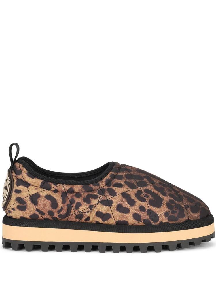 Dolce & Gabbana City leopard-print slip-on shoes - Brown Cover