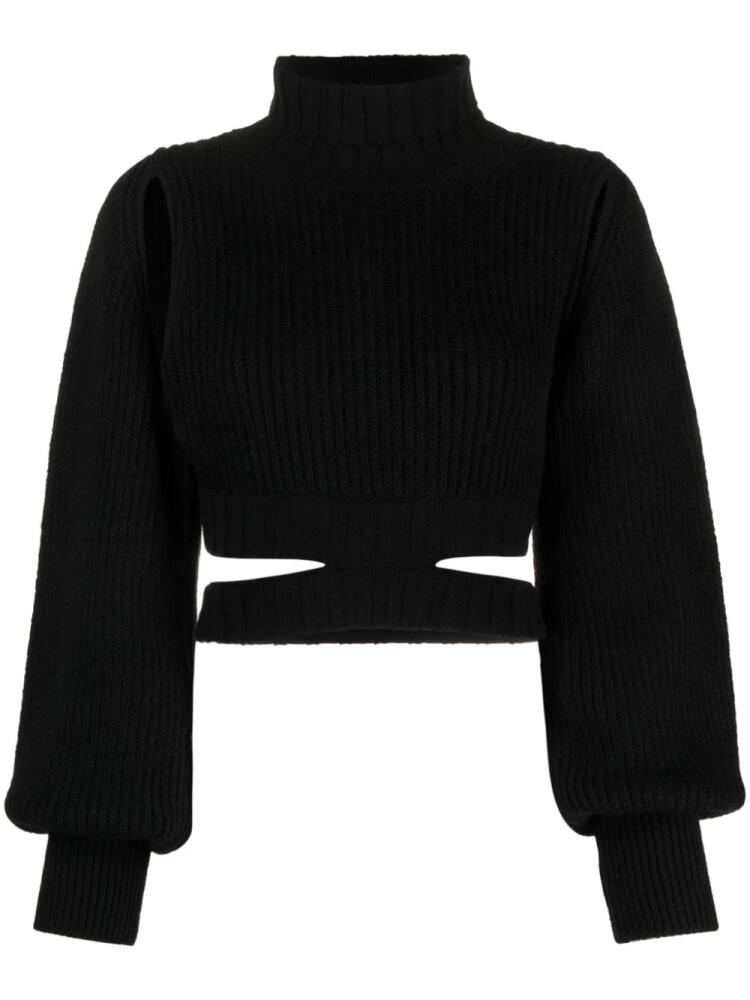 ANDREĀDAMO roll-neck cropped knit jumper - Black Cover