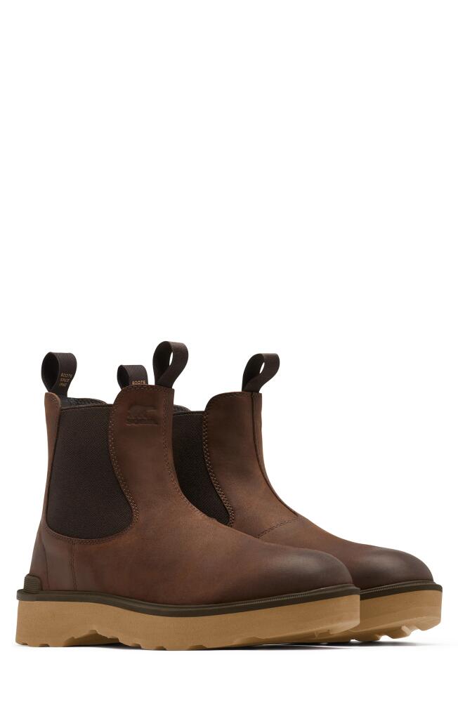 SOREL Hi-Line Chelsea Boot in Fallen/Velvet Tan Cover