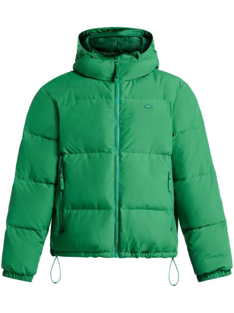 Lacoste water-repellent quilted jacket - Green Cover