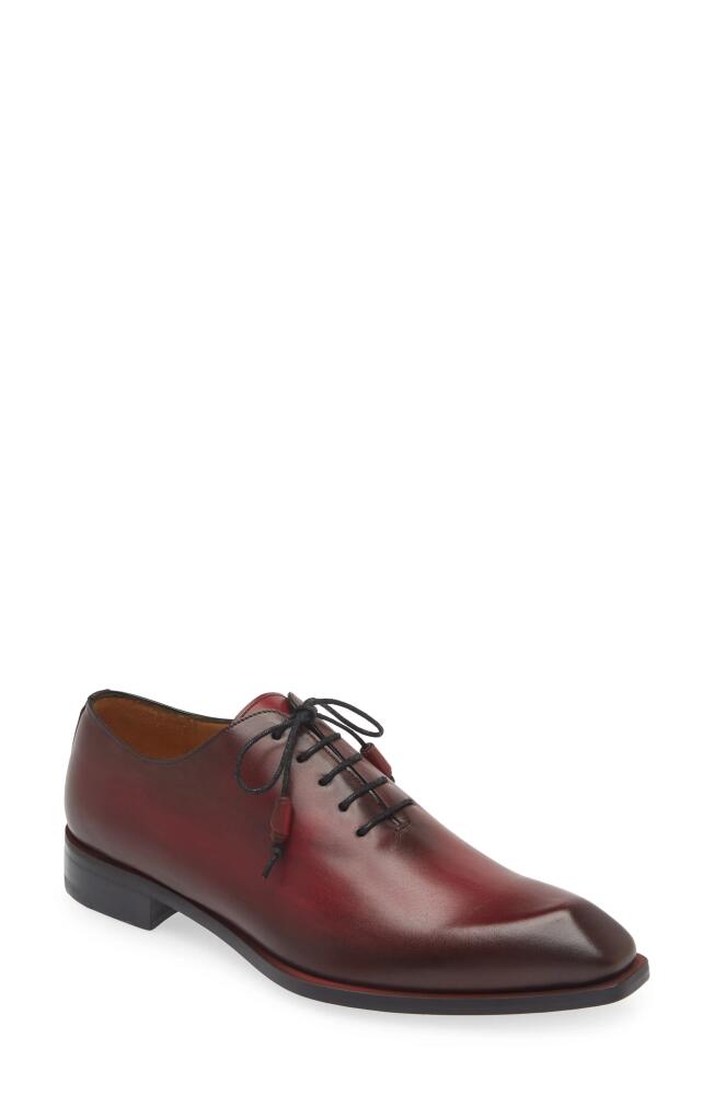 Mezlan Dietro Oxford in Burgundy Cover