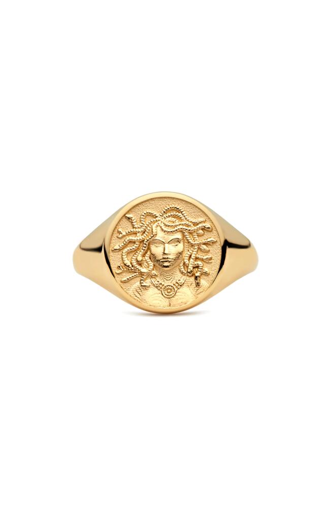 Awe Inspired Medusa Signet Ring in Gold Vermeil Cover