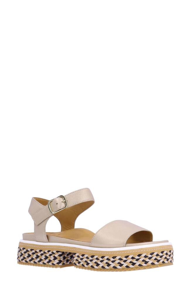 L'Amour des Pieds Dalaney Platform Sandal in Platino Cover