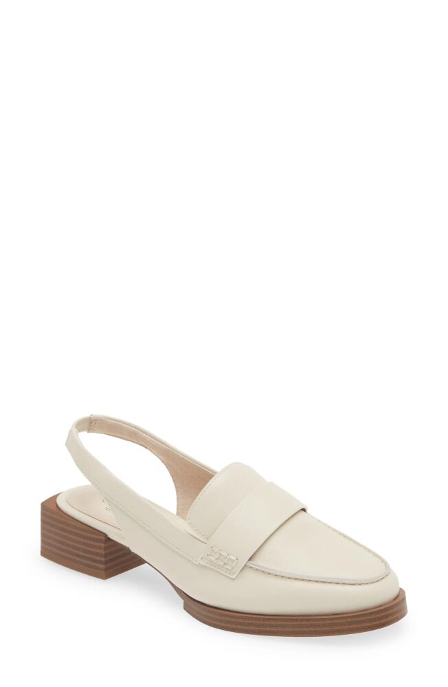 Cecelia New York Oyster Slingback Loafer in Beige Cover