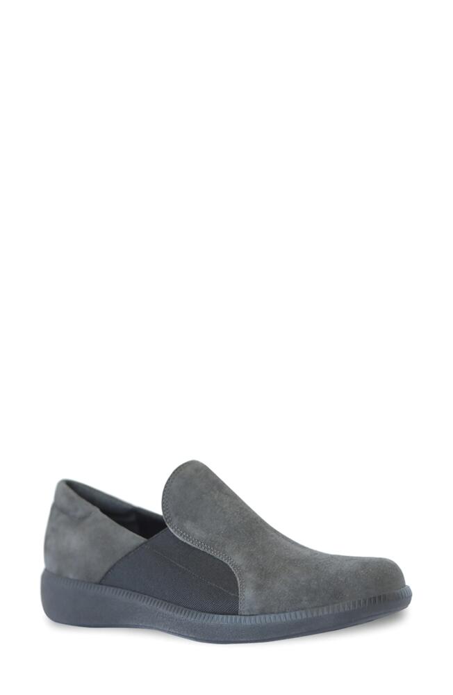 Munro Clay Wedge Slip-On Sneaker in Grey Suede Cover