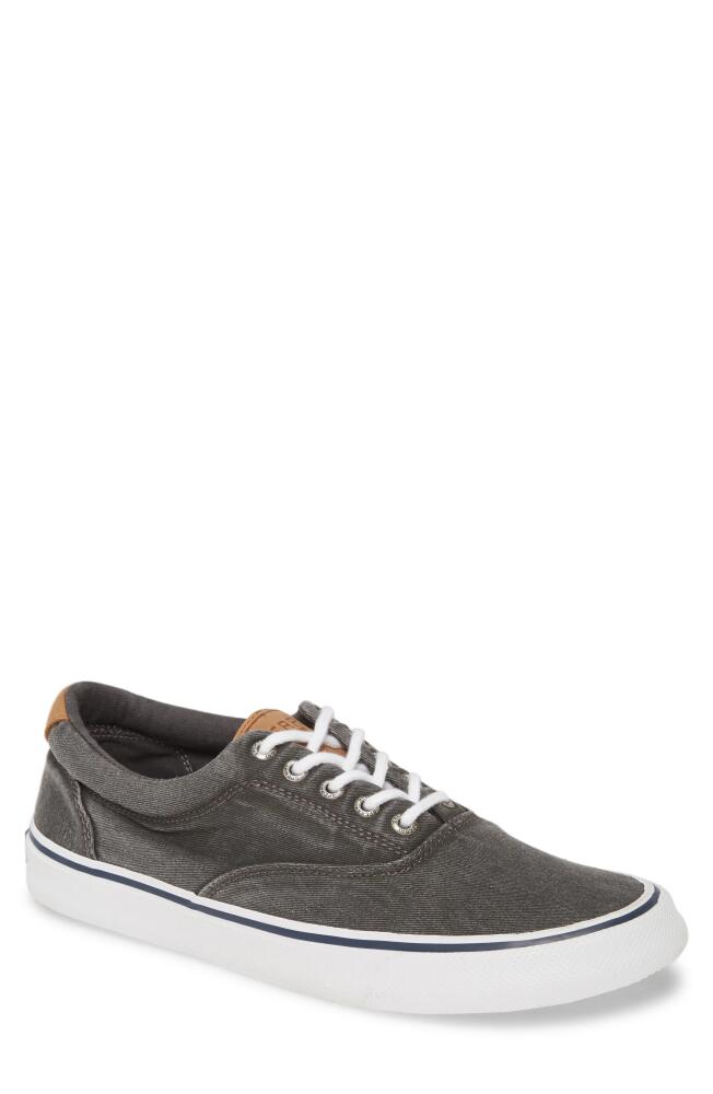 Sperry Striper II CVO Core Sneaker in Sw Black Canvas Cover