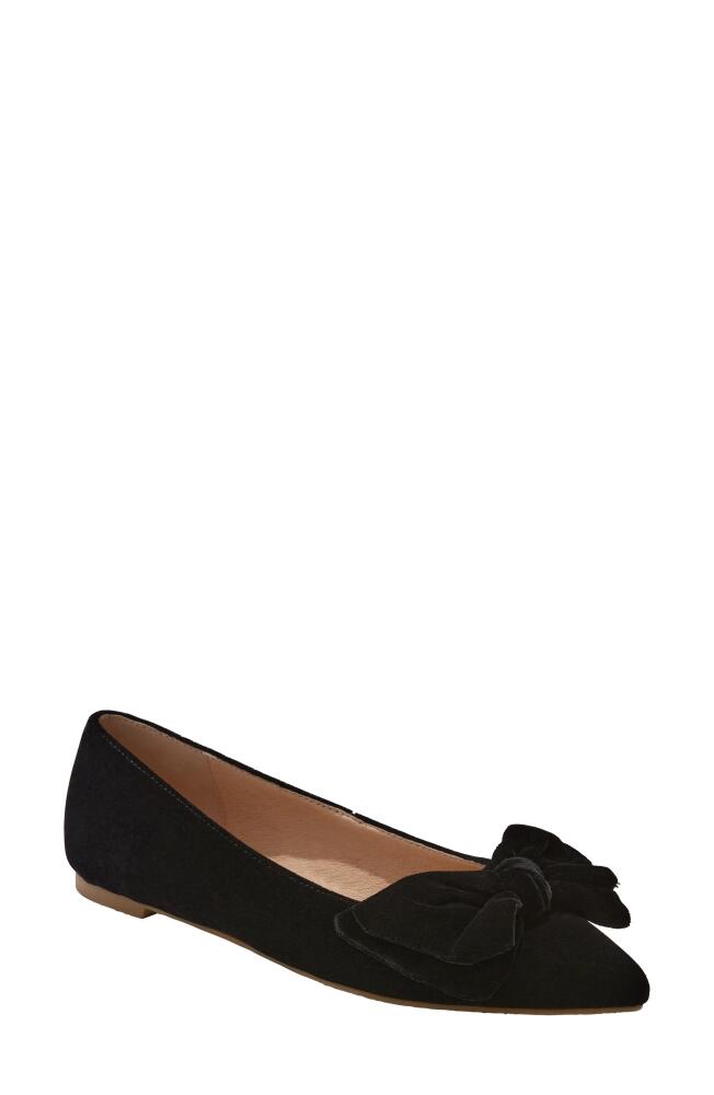 Jack Rogers Debra Pointed Toe Flat in Black Cover