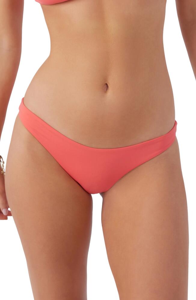 O'Neill Rockley Saltwater Solids Bikini Bottoms in Dubarry Cover