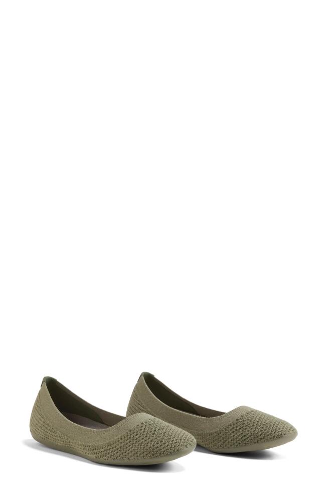 Allbirds Tree Breezer Ballet Flat in Rugged Green Cover