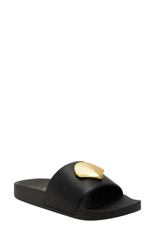 Katy Perry The Pool Shell Slide Sandal in Black Cover