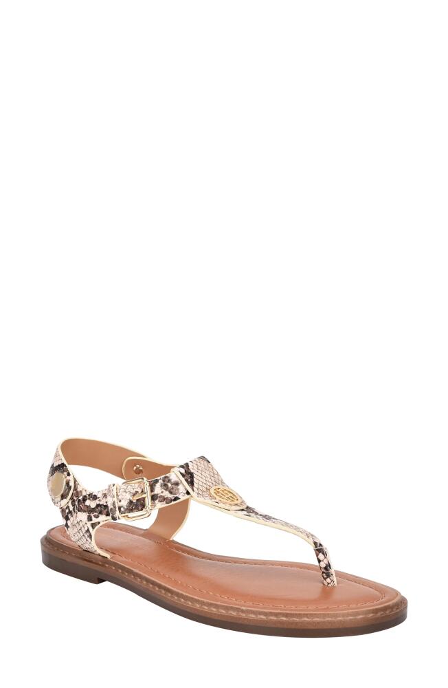 Tommy Hilfiger Bennia Sandal in Taupe Snake Print Cover