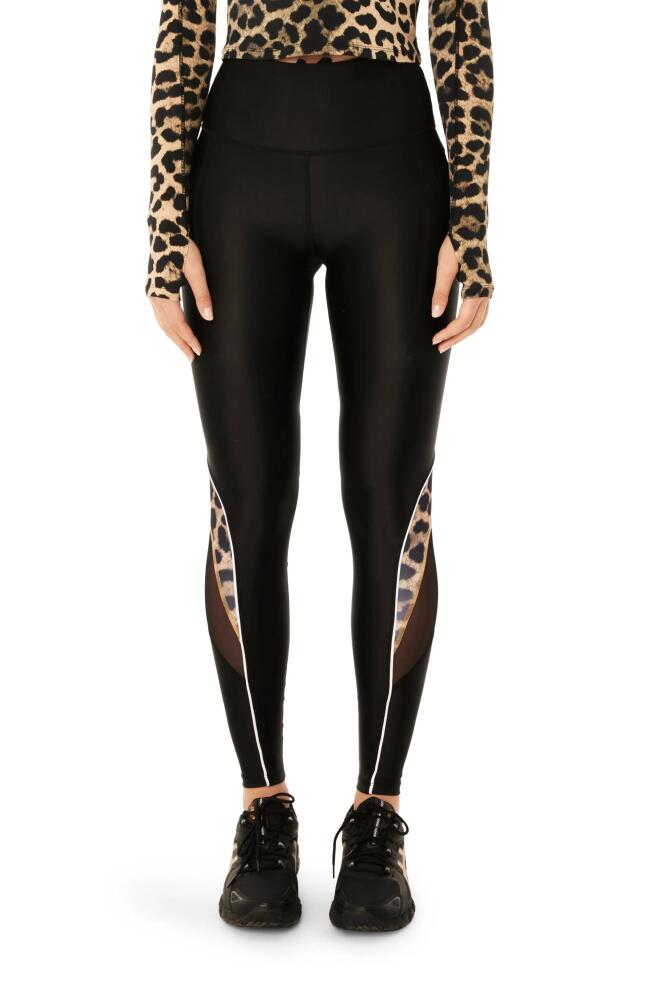 P. E Nation Silvertone Leggings in Black Cover