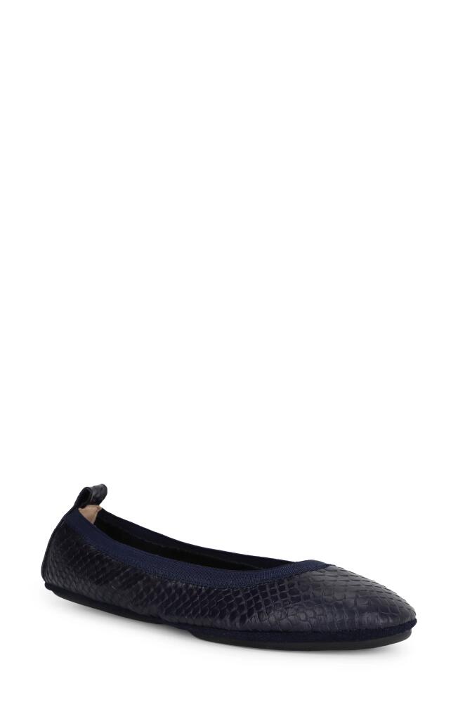 Yosi Samra Samara Foldable Ballet Flat in Midnight Blue Cover