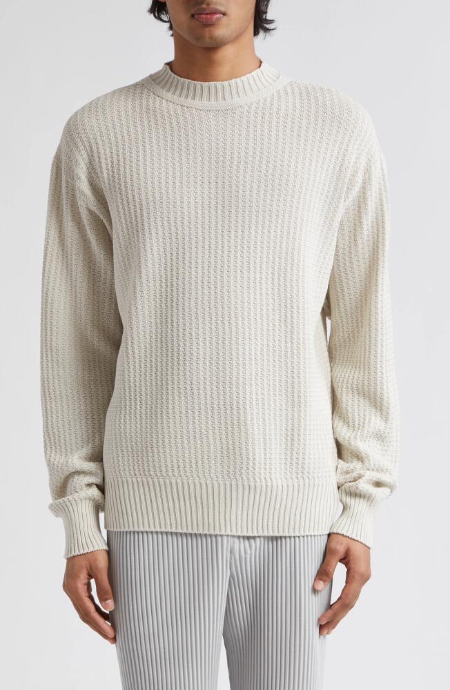 Homme Plissé Issey Miyake Common Textured Knit Sweater in White Cover