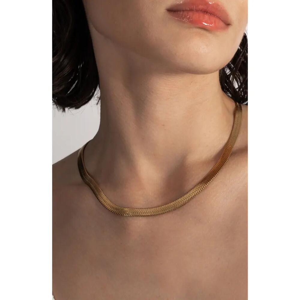 st. Moran Celine Lariat Necklace in Gold Cover