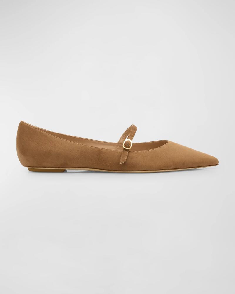 Stuart Weitzman Emilia Suede Mary Jane Ballerina Flats Cover