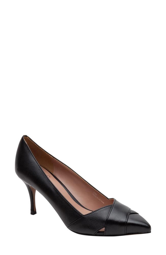 Linea Paolo Palos Pointed Toe Pump in Black Cover