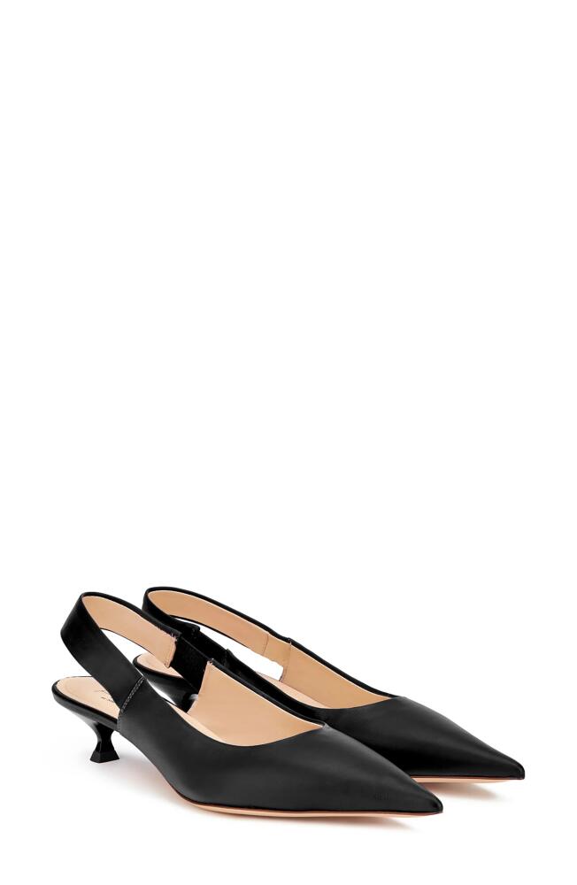 AGL Pointed Toe Pump in Nero-Nero Cover