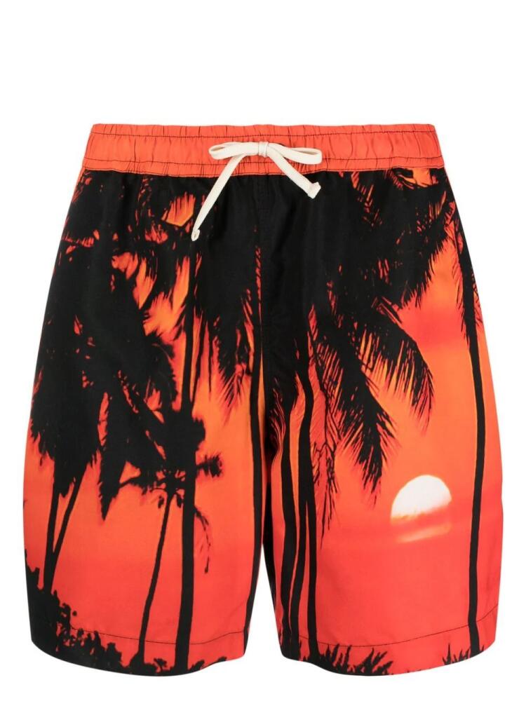 BLUE SKY INN palm-tree print swim shorts - Orange Cover