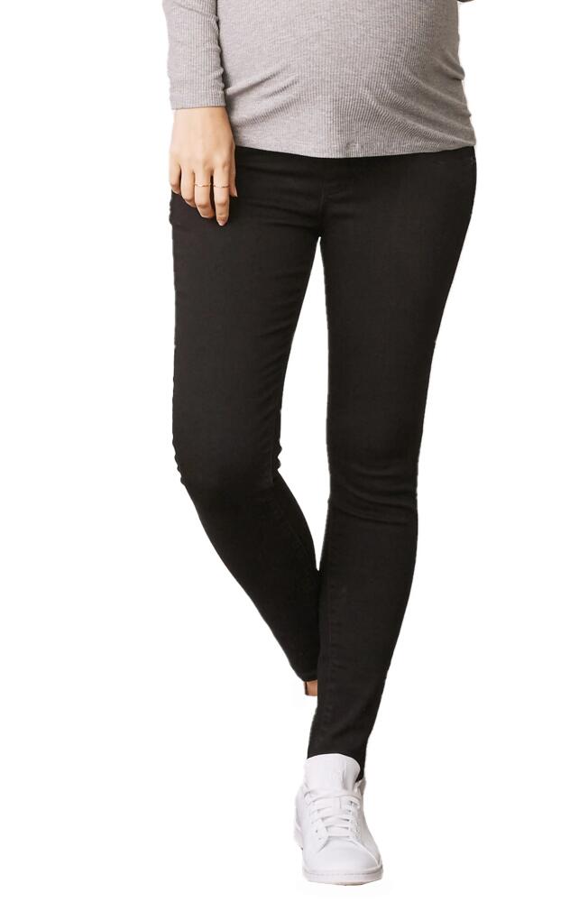 Angel Maternity Maternity Skinny Jeans in Black Cover