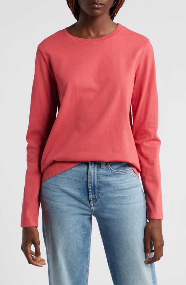 Wyeth Sage Long Sleeve Cotton T-Shirt in Cayenne Cover