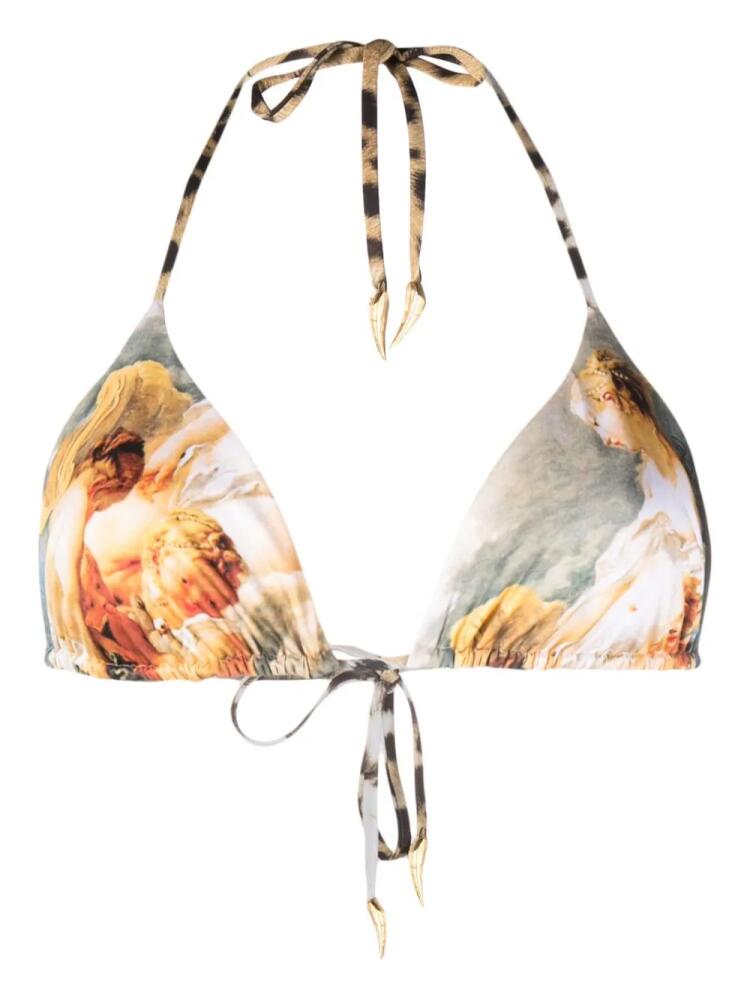 Roberto Cavalli illustration-print halterneck bikini top - Brown Cover