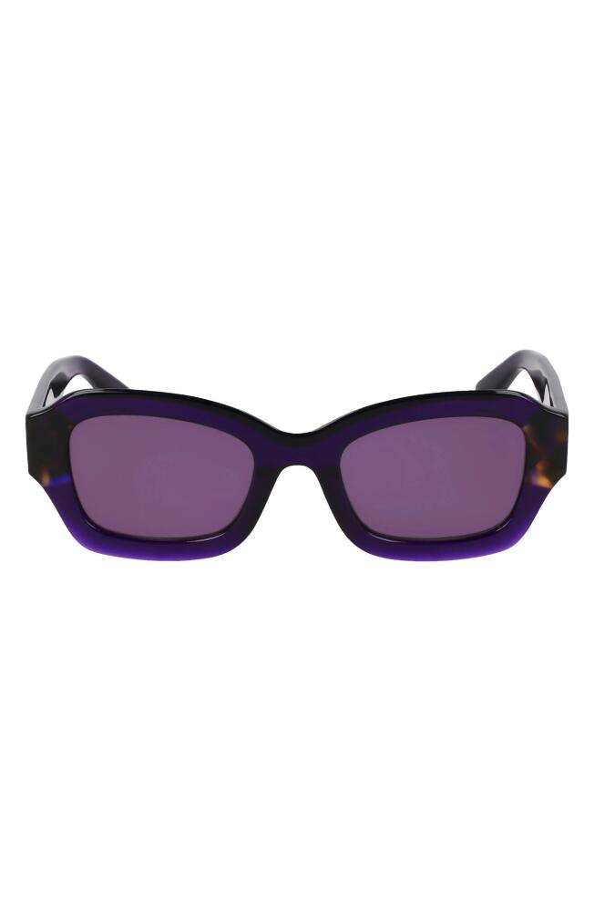 Longchamp Heritage 50mm Cat Eye Sunglasses in Purple/Havana Cover