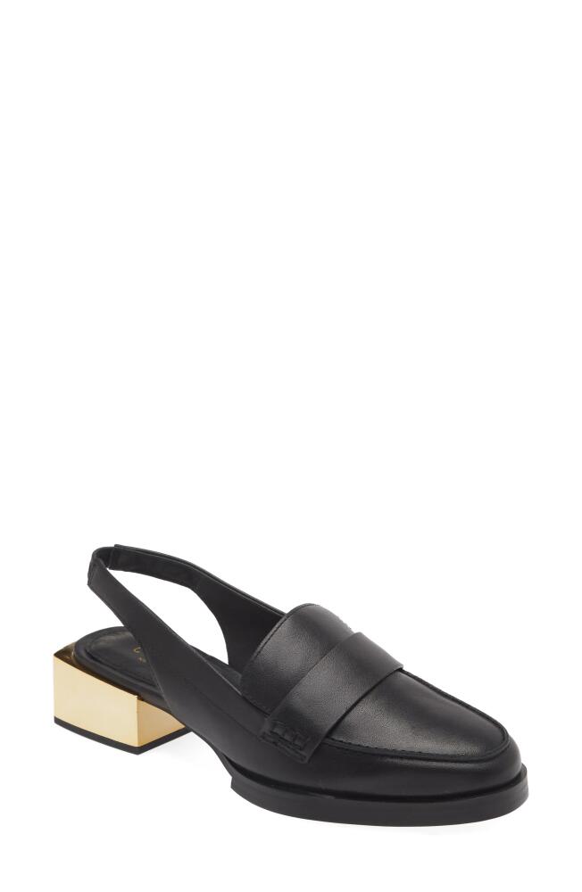 Cecelia New York Oyster Slingback Loafer in Black Cover