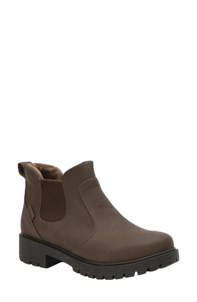 Alegria by PG Lite Rowen Waterproof Chelsea Boot in Cocoa Cover