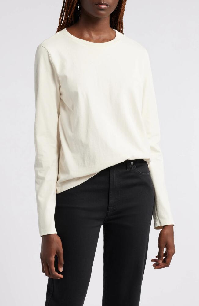 Wyeth Sage Long Sleeve Cotton T-Shirt in Ecru Cover