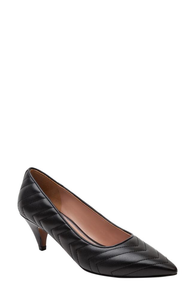 Linea Paolo Odie Pointed Toe Pump in Black Cover