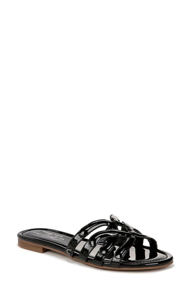 Circus NY by Sam Edelman Cat Slide Sandal in Black Cover