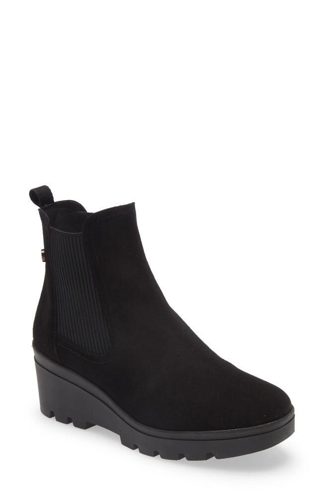 Toni Pons Radom Wedge Chelsea Boot in Black Cover