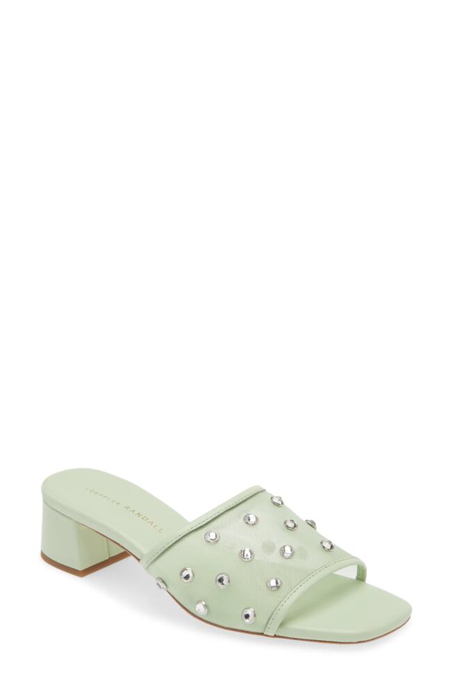 Loeffler Randall Brooke Slide Sandal in Seafoam Cover